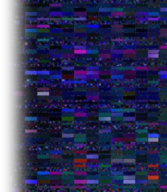 Image1yuyyyyy7.png