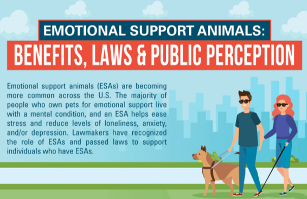 Common Questions About Getting An Emotional Support Animal In Ohio Common Questions About Getting An Emotional Support Animal In Ohio