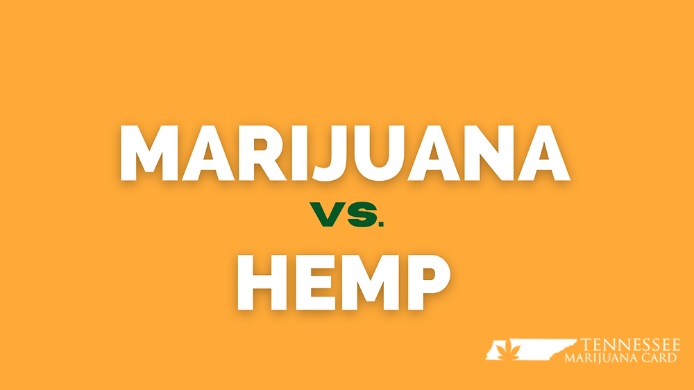 Marijuana vs. Hemp