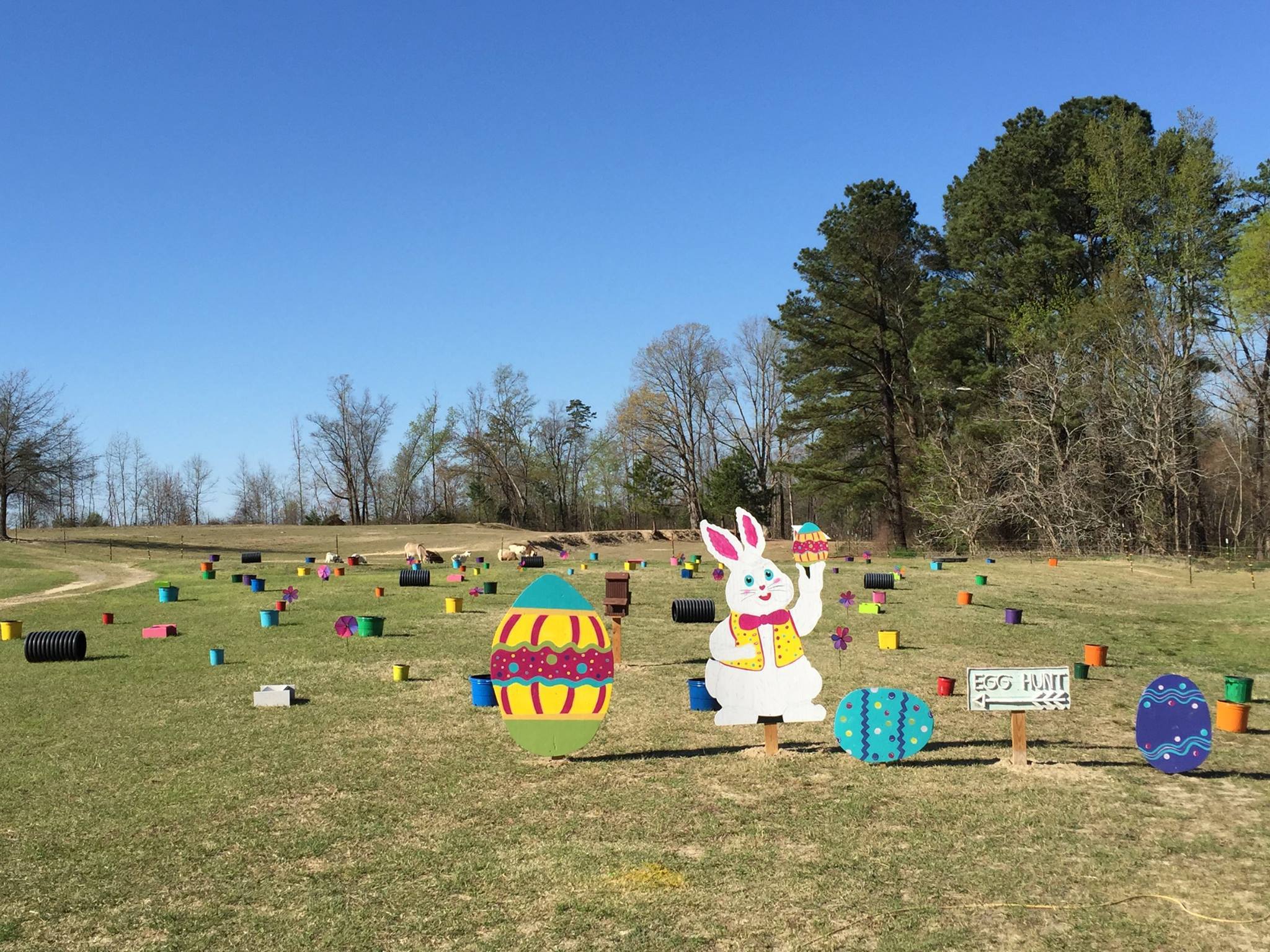 Egg Hunt
