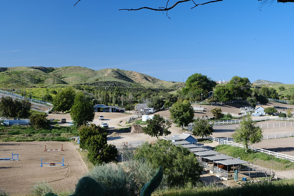 vistadelmarranch-mainbarn-californiahors