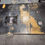 Thumbnail: Dyno dynojet Dynomometer 250i Pit Dynomometer. Does not include DRWT or Electron