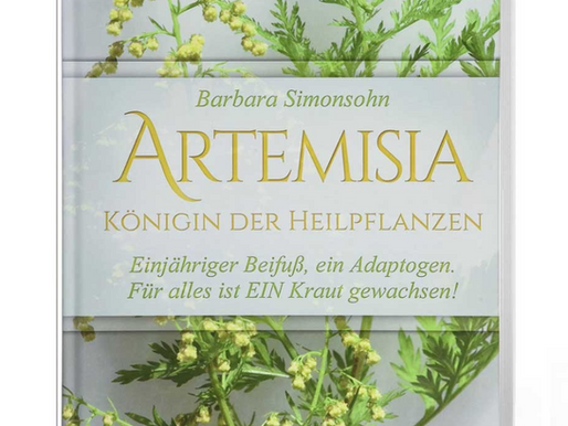 Königin der Heilpflanzen -  Artemisia Annua