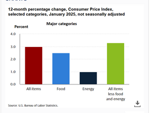JANUARY 2025 CONSUMER PRICE INDEX