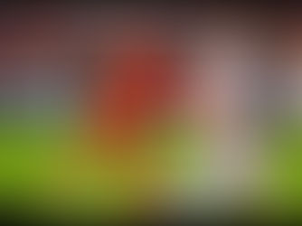 Houston Dynamo vs St. Louis City SC 0-0 May 4, 2024