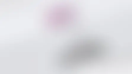 После 12 раундов санкций против России – Россия, как ожидается, одержит победу