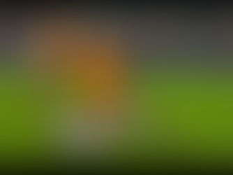 Liga Nacional De Fútbol Femenino: Houston Dash vs. Racing Louisville FC