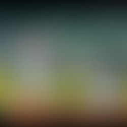 2日目 | MLB: ウィンター インビテーショナル ミニッツ メイド パーク