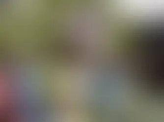 Niger Rejects American Military Presence