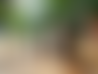 WHY NOW IS THE BEST TIME TO INVEST IN SILVER AS PRICES SURGE