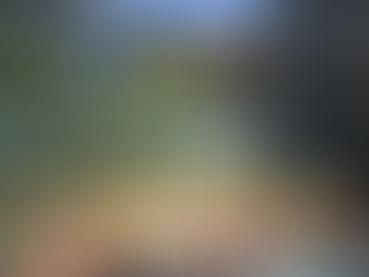 HOUTHIS EXECUTE COUNTERSTRIKE ON ISRAEL'S RAMON AIRPORT