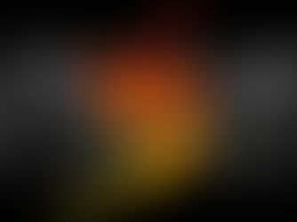 Canon vs. Nikon: The Battle of Professional Cameras