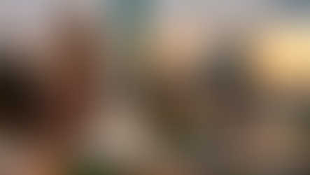 HOUSTON NEWS: WORLD CUP, GUN VIOLENCE, WEATHER, POLITICS, A SNAPSHOT OF THE BAYOU CITY IN THE LAST 48 HOURS