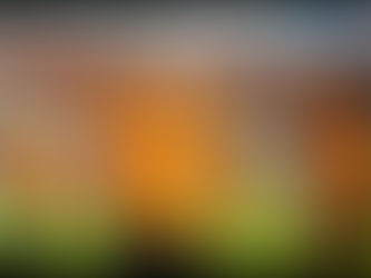 Can The Houston Dash Double Up On Their Next Game?