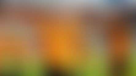 ¿Podrá El Houston Dash Doblar En El Próximo Partido?