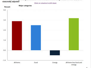 CONSUMER PRICE INDEX DECEMBER 2024