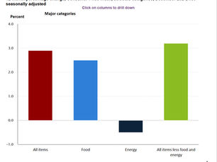 CONSUMER PRICE INDEX DECEMBER 2024