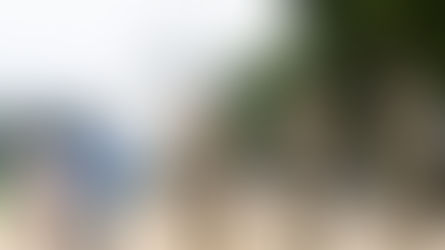 DONALD TRUMP TO DEPLOY NATIONAL GUARD TO MAJOR U.S. CITIES