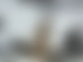 Can We Reverse Global Warming?