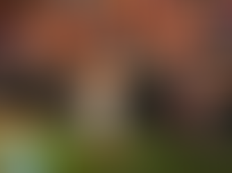 MLS: HOUSTON DYNAMO VS COLORADO RAPIDS 2-2 (4-19-2025)