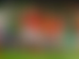 HOUSTON DYNAMO VS. AUSTIN 2-2 (8/9/2025)