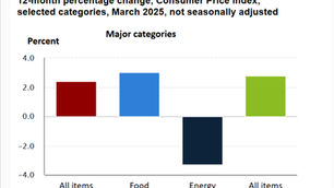 MARCH 2025 CONSUMER PRICE INDEX (CPI)