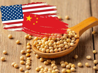 阿根廷削弱美国大豆种植者