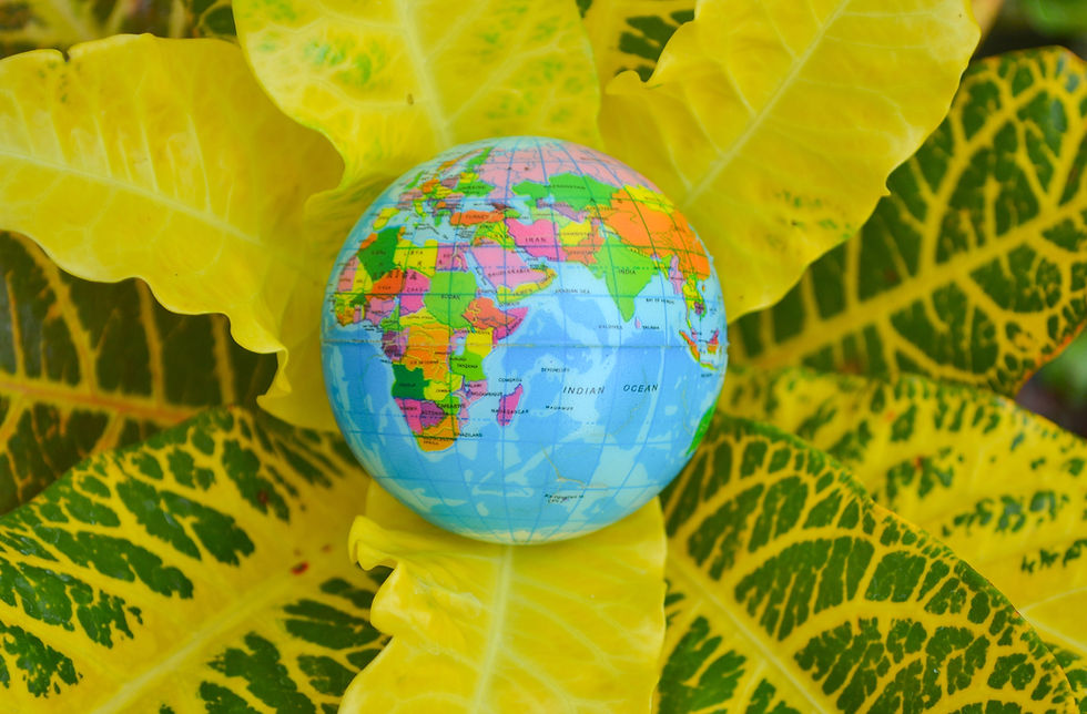 MUNDO