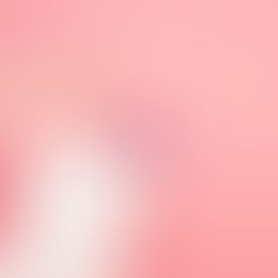 mano sosteniendo una bolsa con flores 