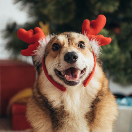 Tips para publicar contenido navideño como un experto