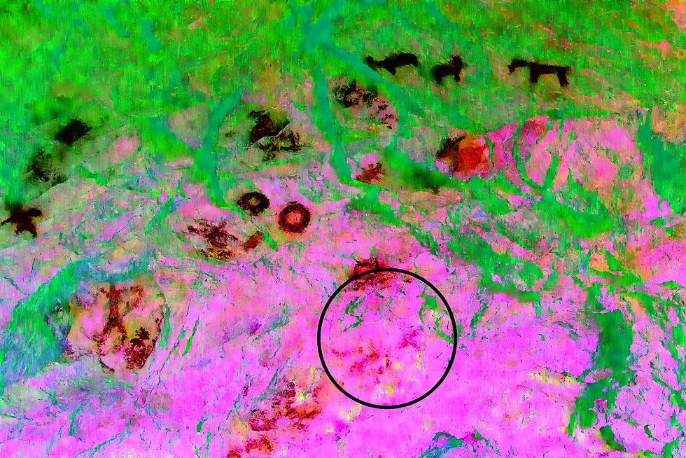 Another view of the pigments with different colors emphasized.
