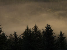 AERI's Soil Stewardship Program - Welcome!