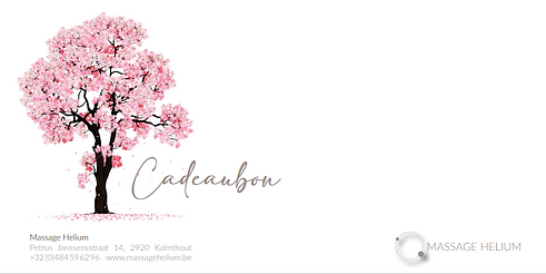 1e2921_004ee93d25ca4cde8a2a570a0deb6bdc~mv2.png