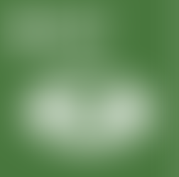 United Nations Sustainable Development Goal SDG 13 Climate Action