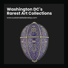 Washington DC's Rarest Art Collections