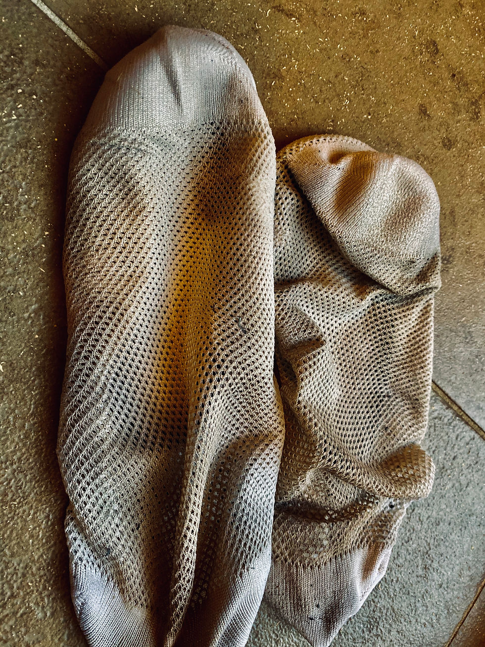 Thumbnail: Summer Stink!