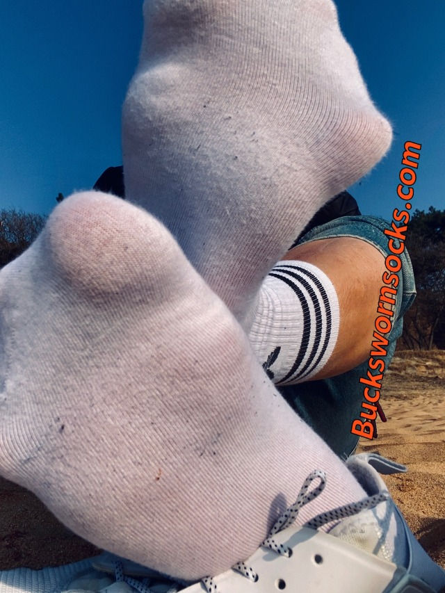 Thumbnail: Pig's Favourite!