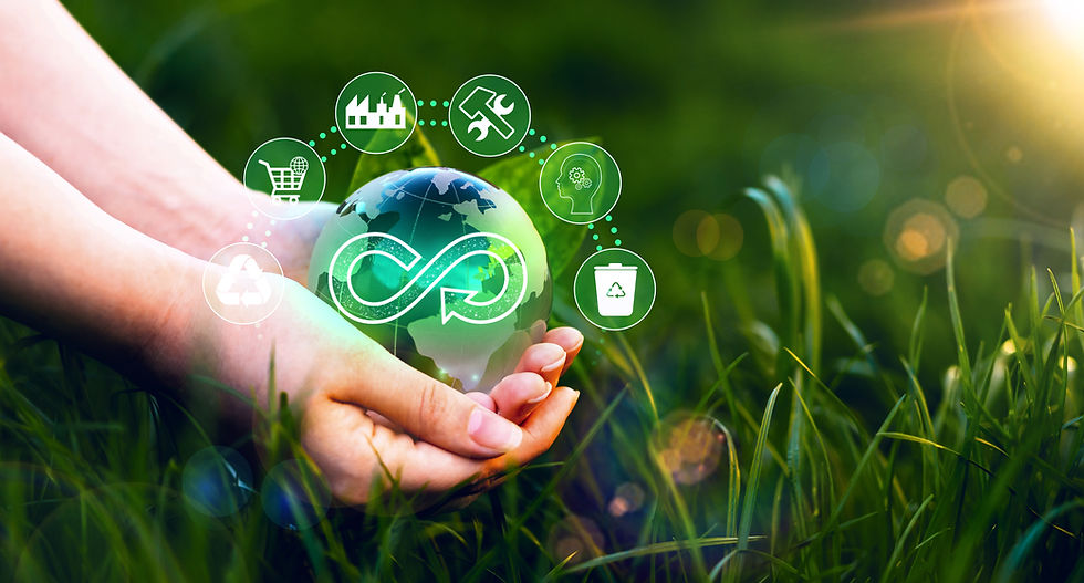 iStock-1365594244.jpg