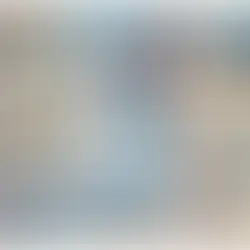 B-142: Protocolo Efectivo para la Inspección de Hongos y Moho en Interiores: Identifica y Remedia a Tiempo