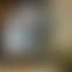 B-104: Elementos Clave que un Inspector de Daños por Hongos y Mohos Debe Considerar Durante la Inspección de una Estructura Siniestrada