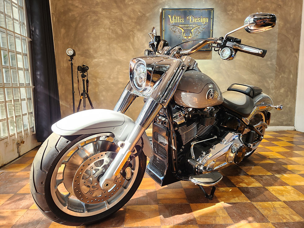Miniatura: Protetor de Radiador Harley Sofatil 2018 até 2026 Profissional  Modelo Robusto