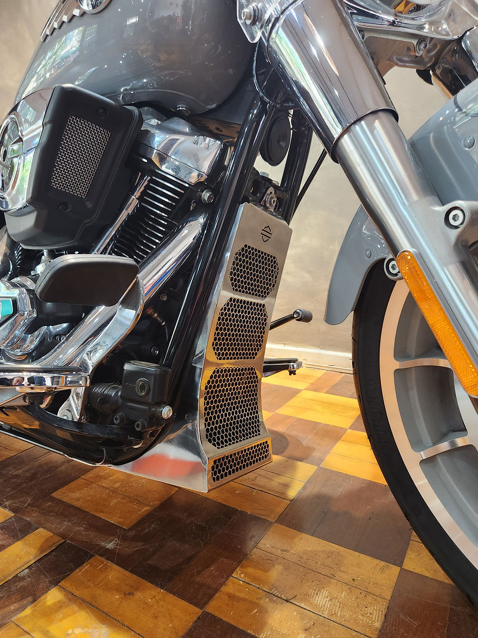 Miniatura: Protetor de Radiador Harley Softail 2018 até 2026 Modelo Robusto Inox