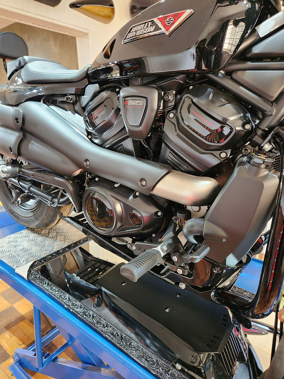 Miniatura: Protetor de Cárter Sportster S 2023 até 2026