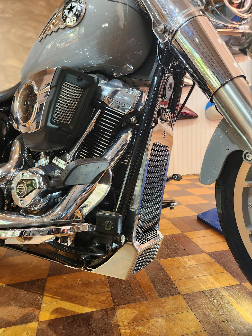 Miniatura: Protetor de Radiador Harley Softail 2018 até 2026
