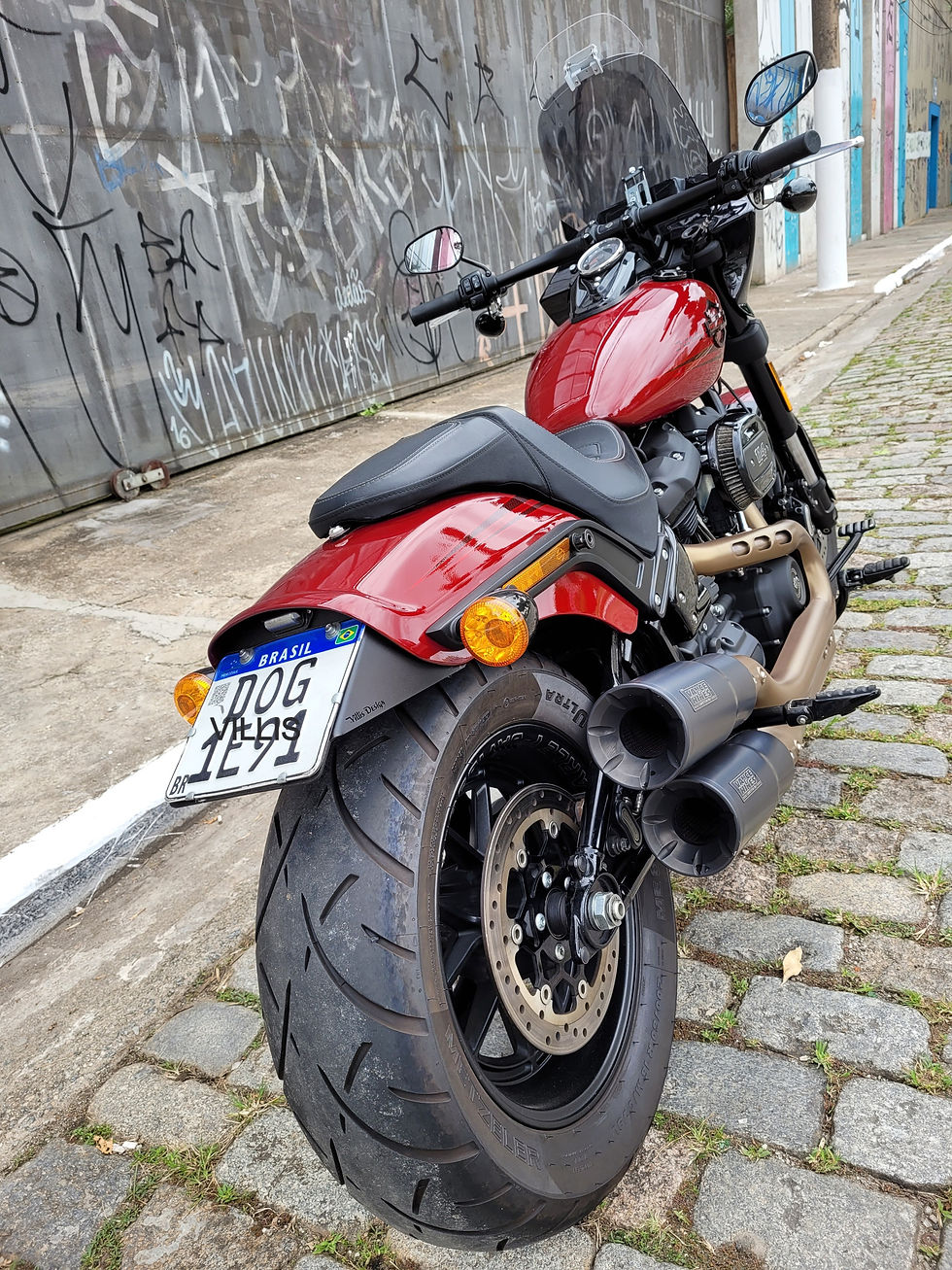 Miniatura: Suporte de placa Fat Bob Rabeta extensão do Paralama  Harley Davidson