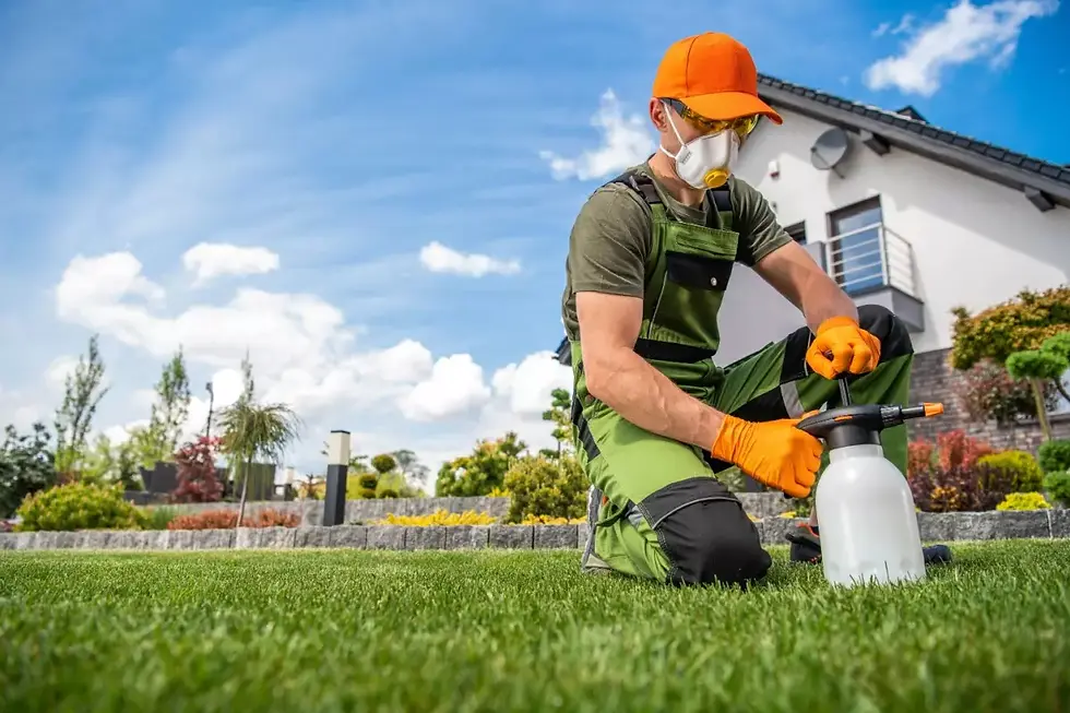 pest control services near me
