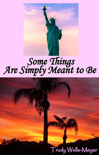 Photo of the cover of the book Some Things Are Simply Meant to Be.