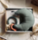 Dino Moon First Baby Present at Seb and I