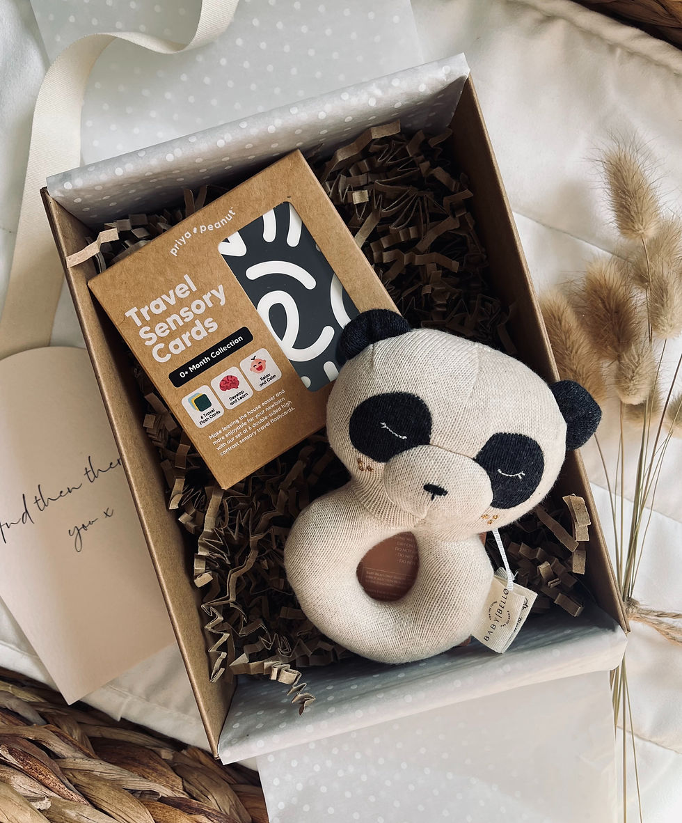 Little Explorer Baby Arrival Gift at Seb and I