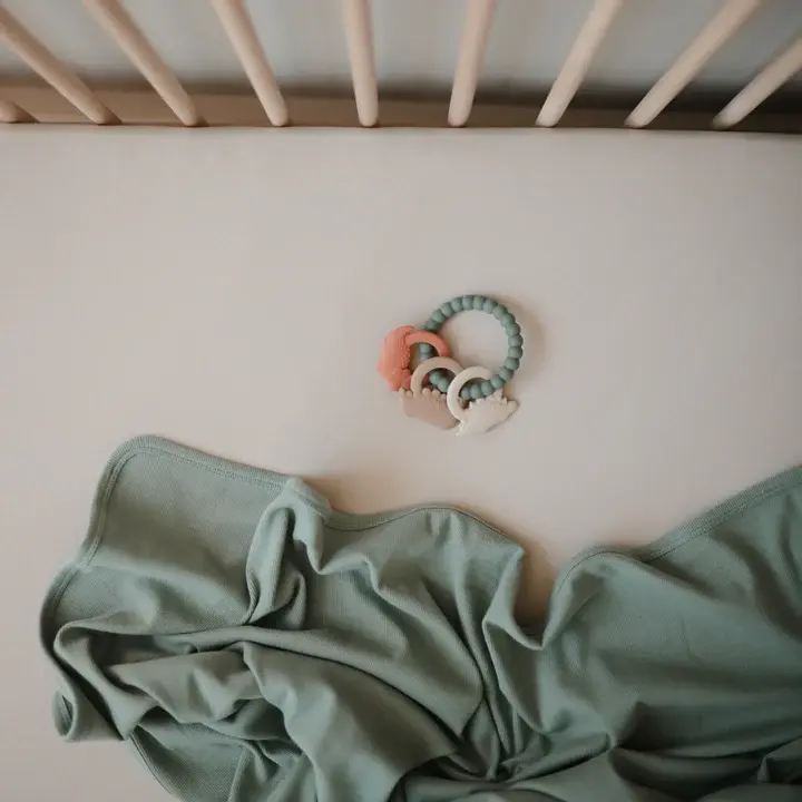 Thumbnail: best teething toy at Seb and I